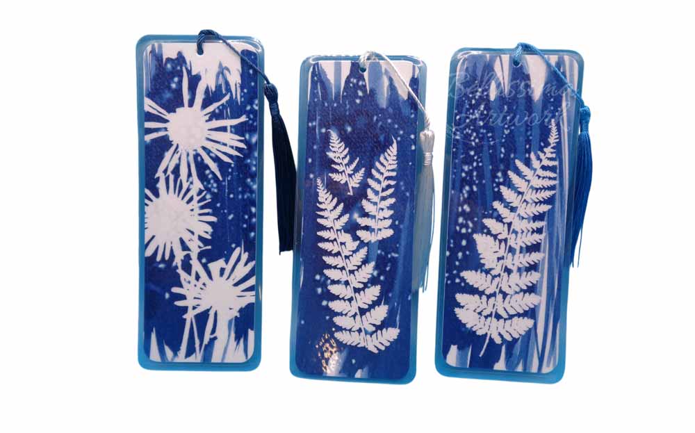 What is Cyanotype by Melissa Mortimer